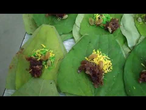 Sri veeranjaneya pan's.