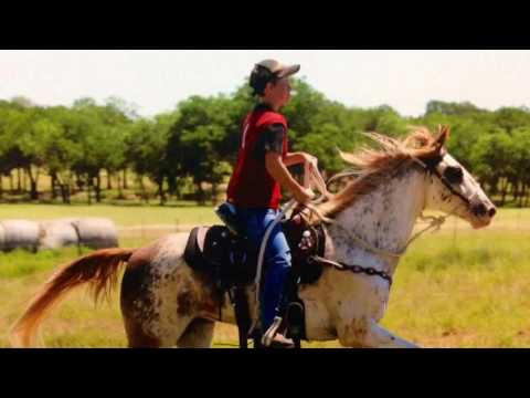 Tennessee Walker Clinton Anderson Methods Downunder Horsemanship