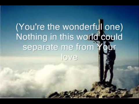 Wonderful One