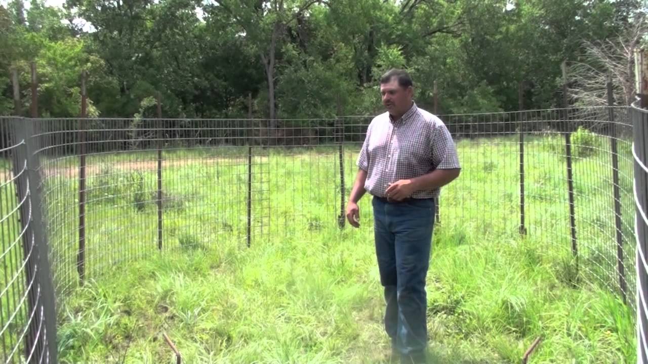 Trapping Feral Hogs: Corral Trap Designs