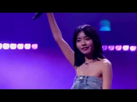 房东的猫《NEW Boy》