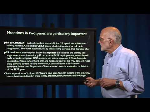 6.3 - Cancer: Clonal evolution