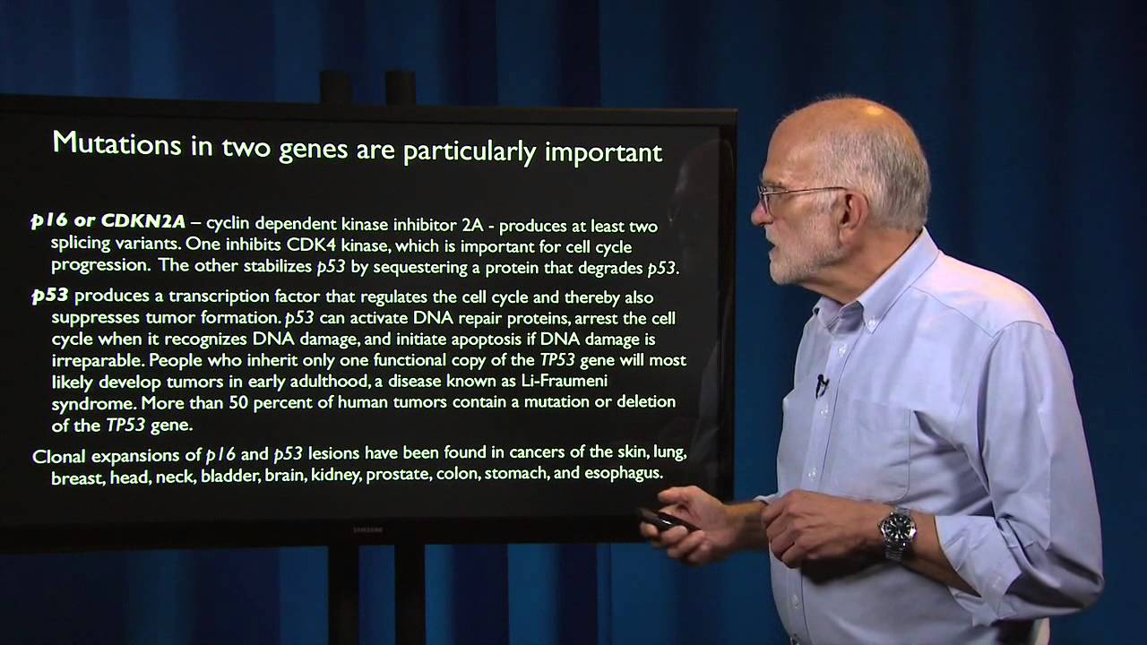 Cancer: Clonal Evolution
