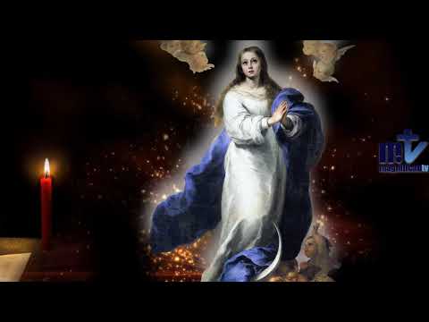 Oración a María: Día 25 | "No Temas, María" Las palabras que la Virgen oyó | Franciscanos de María