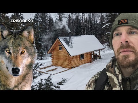 WOLVES, Sauna: Door, Stove + FIRST Session |EP90| Log Cabin Build on Off-Grid Homestead