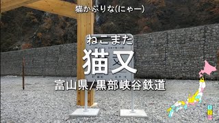 日本の駅名で「ネコカブリーナ/猫又おかゆ」