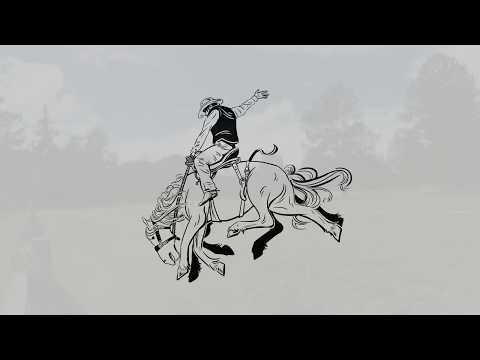 Ravens in Norse Mythology