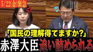 【緊急】「国民の理解得てますか？」参政党・櫻井祥子が質問をのらりくらりと躱す赤澤大臣を、ぶった斬る！#参政党 #櫻井祥子  #国会