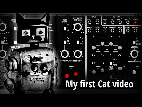Behringer Cat synth - unboxing and first sounds (no talk)