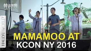 MAMAMOO's Surprise Appearance @ KCON 2016 NY
