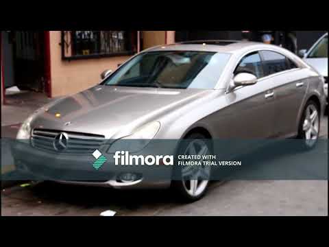 Howy-T  (The Prince from the Dark, was a Gentlemen) "Zoo"