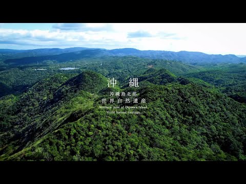 【世界自然遺産ＰＲ動画】やんばる３村（国頭村・大宜味村・東村）　日本語版