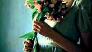 One Day - Film by Jeffrey Lee Martin - Music by Melody Gardot