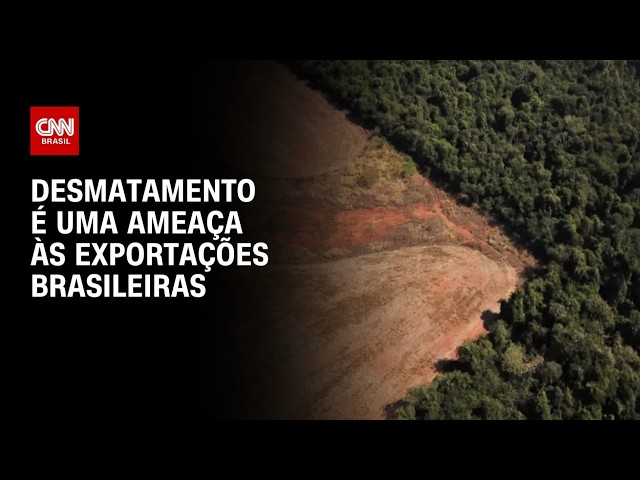 Produção agrícola é afetada com chuvas no Rio Grande do Sul; entenda | CNN PRIME TIME