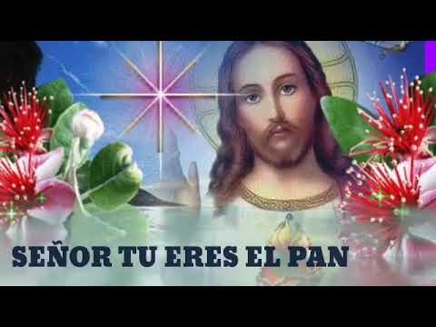 Señor Tu Eres El Pan - Misc Praise Songs