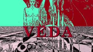 VEDA - Fliege (the B-side, 1987, London)