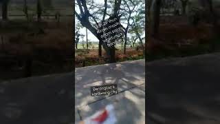 Download lagu mulai dengerin lagu Peterpan album taman langit lagi... jejak hidupnya itu je mp3 Download lagu mulai dengerin lagu Peterpan album taman langit lagi... jejak hidupnya itu je mp3