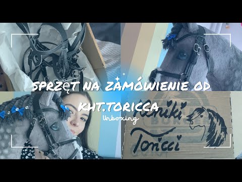 What does the Hobby Horse custom equipment from Toricci look like?