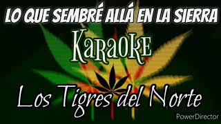 Lo Que Sembré Allá En La Sierra (Karaoke) | Los Tigres del Norte