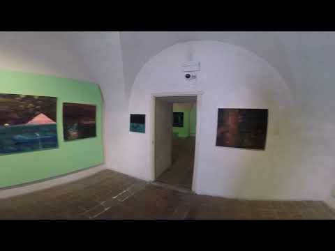 ALENA ANDERLOVÁ - Egon Schiele Art Centrum 2020