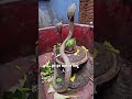 Shiv Panchakshar Stotram Har Har Mahadev Shambhu Om Namah Shivaya Mahadev Harharmahadev Yt