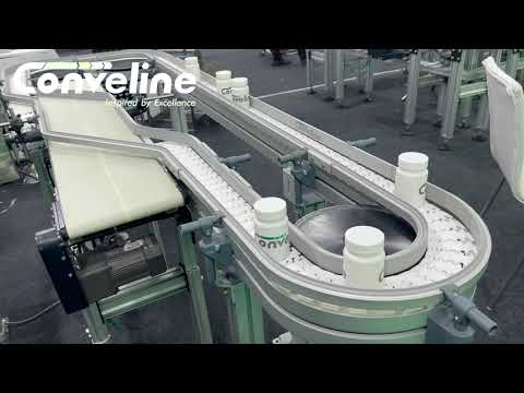 Flexible Chain Conveyor