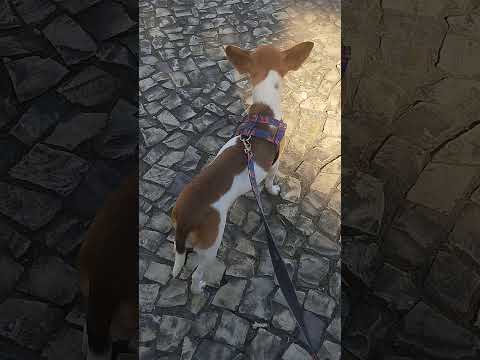 Aurora na praça de Leopoldina Minas Gerais