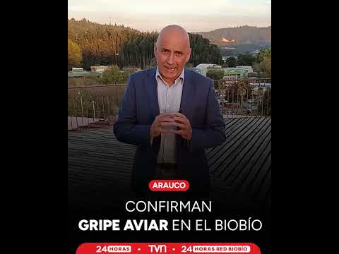Confirman gripe aviar en el Biobío