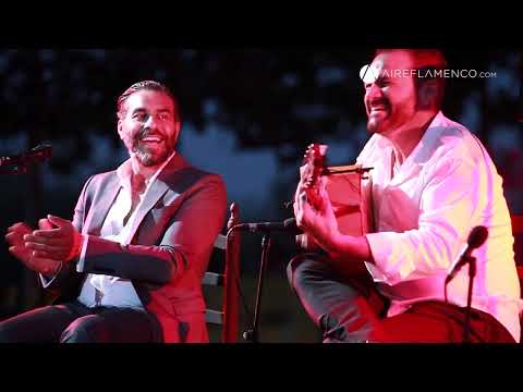 Flamenco: Pedro El Granaíno, bulerías en Madrid