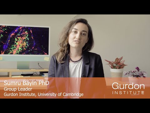 Gurdon Institute | Meet Sumru Bayin