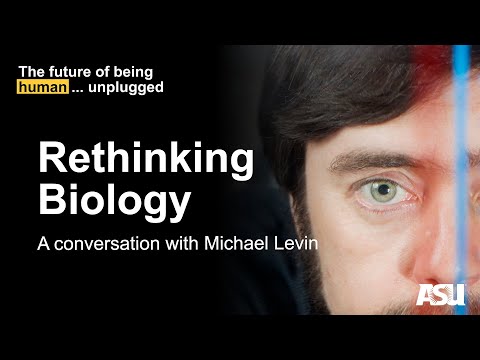 Rethinking Biology: A Conversation With Michael Levin