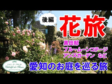 コテージガーデンにとって最も重要な植物 トピックス