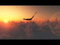 Man Is Not A Bird - Ø 
