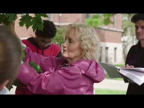 Loyola University Chicago Overview