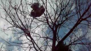 Anne - Imperfect Is The New Perfect - Caitlin Crosby  [Music Video]