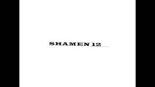 Shamen12 - Universe with a curve