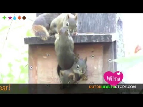 🌟🌟🌟 Thank you, lovely team of LivingLibations for the past year!