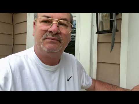 Best dogs 🐕❤️