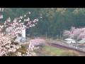 2009年4月5日DD51 1803 赤A更新 コキ紀勢線2089レ桜に囲まれた俯瞰
