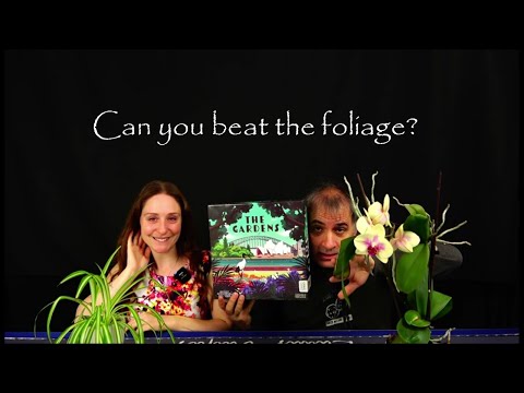 Trees, fountains and the Sydney skyline. Can you build a better garden?