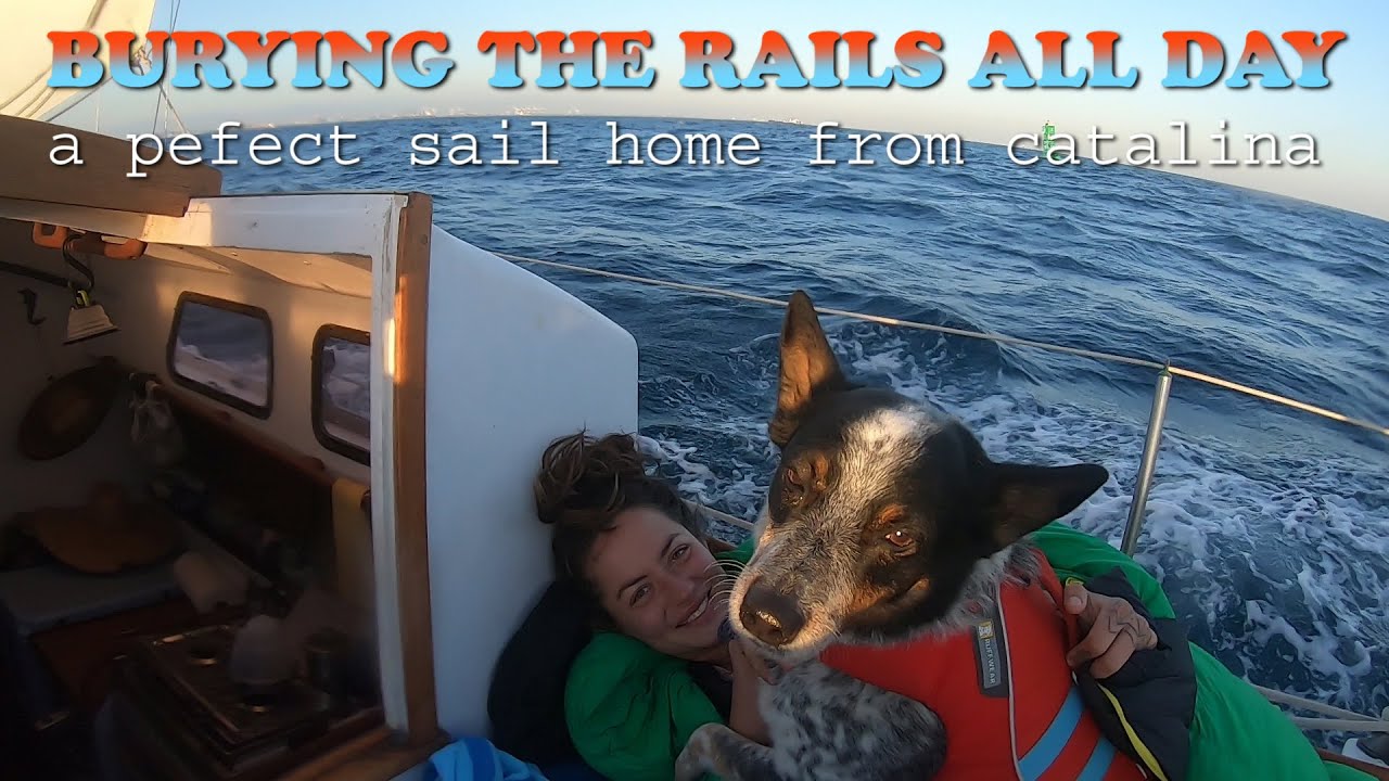 A Lovely Sail Home to Los Angeles from Catalina Island on an Alberg 30