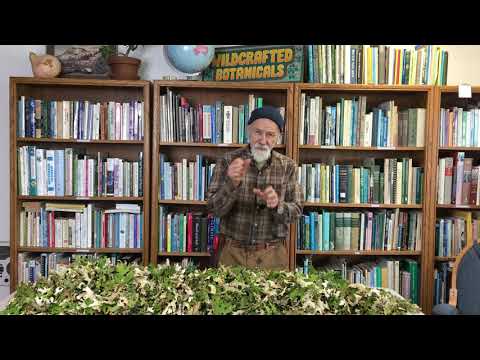 , title : 'How to Harvest and Process Lungwort with Michael Pilarski "Skeeter"'