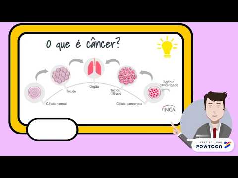 Nicoly Fernandes de Souza (SIC 29º UFSC)