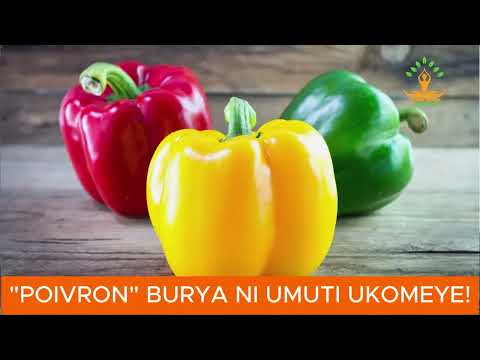 "POIVRON" BURYA NI UMUTI UDASANZWE // MENYA IMPAMVU BAYITA UMWAMI W'IMBOGA