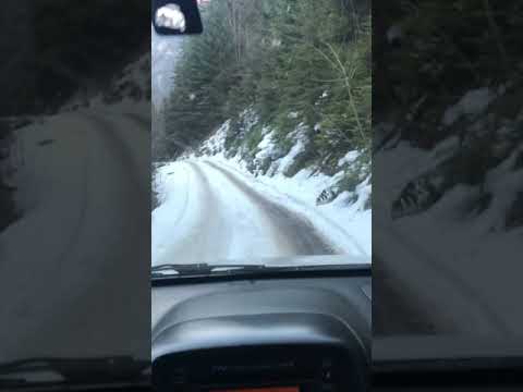 Bjeshka e Lumbardhit