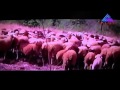 Muthola Kottaram Song