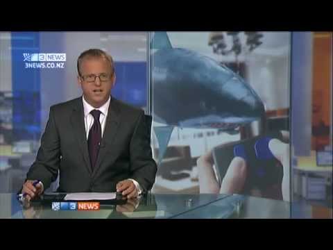 More Air Swimmer escapes in New Zealand!