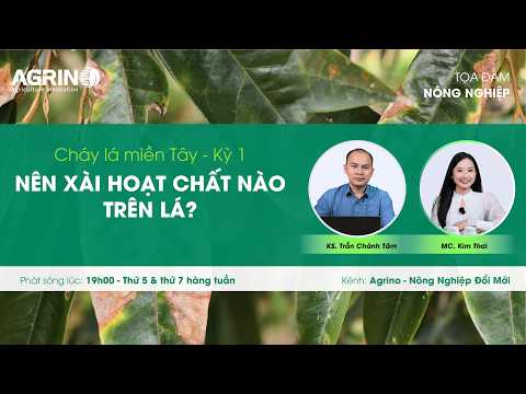 Tọa đàm sầu riêng - Agrino: CHÁY LÁ MIỀN TÂY KÌ 1 - NÊN XÀI HOẠT CHẤT NÀO TRÊN LÁ?