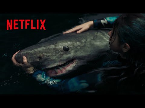 新種の巨大ザメの子どもに触れた結果（字幕）