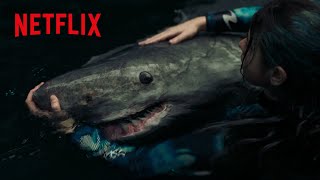 新種の巨大ザメの子どもに触れた結果（字幕）